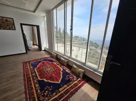 Mount Vista Luxury Apartments