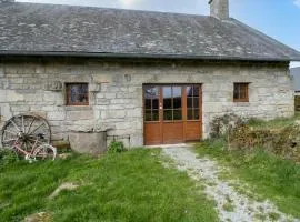 Maison authentique en granit - Chaumeil - Cheminée