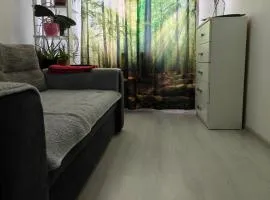HANA Apartament
