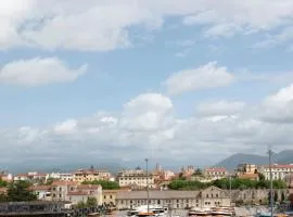 Pisa dall'alto