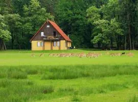 Wildpark Johannismühle