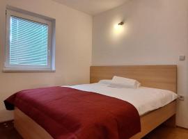 Apartment Seka，位于博德森特克的酒店