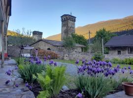 巴普沙宾馆，位于梅斯蒂亚的宠物友好酒店