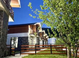 Villa Mtashi，位于巴库里阿尼的酒店