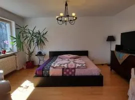 Forest Inn, retreat in nature