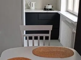 A cosy apartment near the border