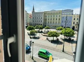 Rezydencja Optyka Alde