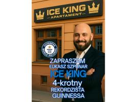 ICE KING Apartament，位于桑多梅日的酒店