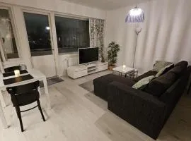 Spacious studio with cathedral views