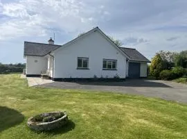 War Horse Valley Orchard View