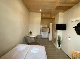 Öko Lehmbau direkt am Main