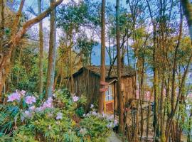 Gio Homestay & Bungalow Sapa，位于萨帕的酒店