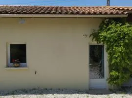 studio 1