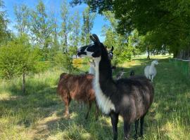 The Llama Farm France，位于Saint-Cyr-les-Champagnes的豪华帐篷营地