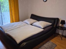 Salz&Pfeffer Rheinfelden-Minseln，位于Niedereichsel的酒店