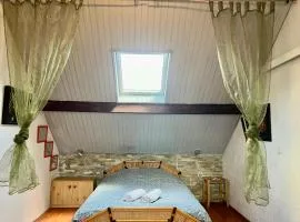 PARIS-DISNEY Homestay
