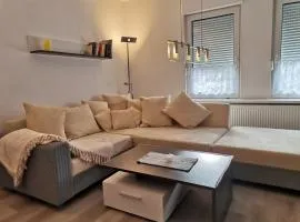 Im Harzer Vogelnest Spatzennest