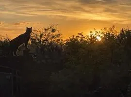Sunset garden retreat