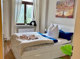 Macabu Apartment Sophie，位于茨维考的酒店