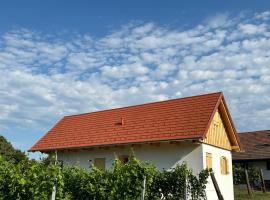 Modernes Kellerstöckl im Südburgenland，位于居辛的酒店