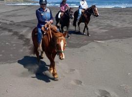 Del Pangal Canto- Acceso directo a la Playa y Cabalgatas，位于卡汇的青旅