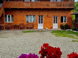 Casa Pintea de Sub Coastă，位于Breb的酒店