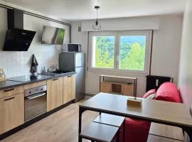 Appart'Hotel Lizon Cocooning avec sauna