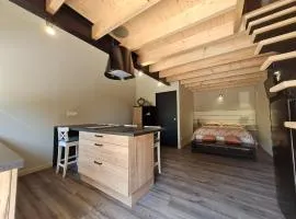 Studio cosy avec mezzanine, cour privative et espace vert à Rochetrejoux - FR-1-426-478
