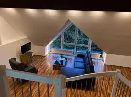 Loft apartment with terrace