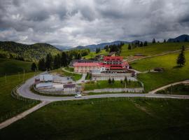 Vila Dealul Sasului，位于迪姆波维奇瓦拉的酒店