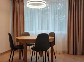 Apartamentai centre