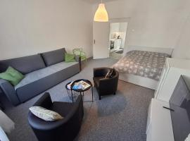 Apartmán Žatec，位于扎泰茨的酒店
