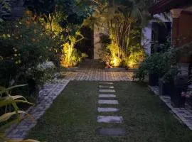 Evergreen garden