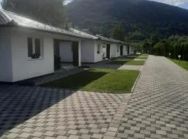 Arena 2
