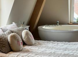Luxury Spa with Sauna, Bath and Cinema Private，位于博德赫拉芬的酒店