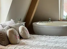 Luxury Spa with Sauna, Bath and Cinema Private