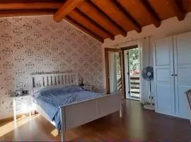 Il Sogno di kovalsky - B&B Relax & Nature