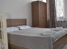 Anita Hotel，位于斯捷潘纳万的酒店
