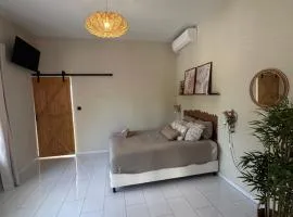 Palm View