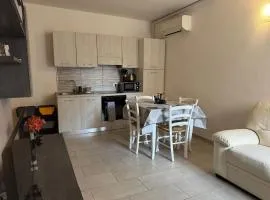 Domu Grìsia Apartment Arzachena