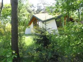 Modern Lakeside Escape