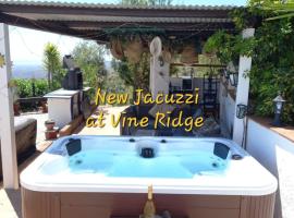 Vine Ridge Studio and Apartment，位于Comares的酒店