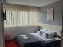 Rooms S&S Milicevic u strogom centru Aleksandrovca，位于Aleksandrovac的酒店