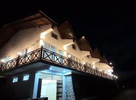 Harika Palace，位于奈尼塔尔的酒店