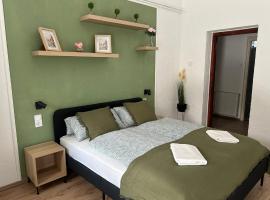 Balaton Bloom Vend&eacute;gh&aacute;z，位于希欧福克的住宿