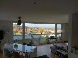 Helles WG Zimmer 1von4 in fantastischer Attikawohnung，位于Oetwil am See的酒店
