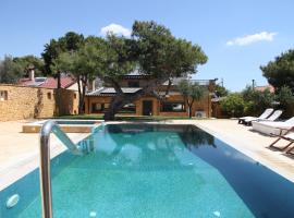 Aeolia Villa Athenian Riviera，位于阿纳维索斯的酒店