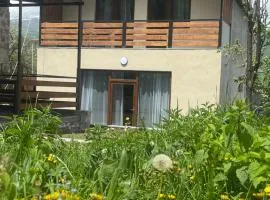 Eva Grand House Dilijan
