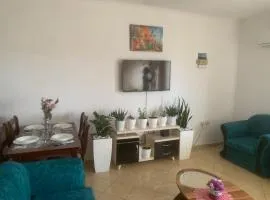 Guest House Fier