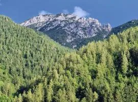 Apartamento Pino Verde in San Colombano VT Vista, Natura, Wifi